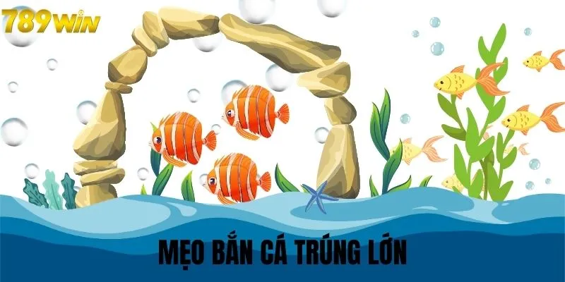 Lợi thế cho những ai học mẹo bắn cá trúng lớn