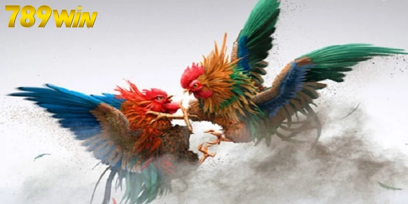 Nhận biết nguy cơ pháp lý