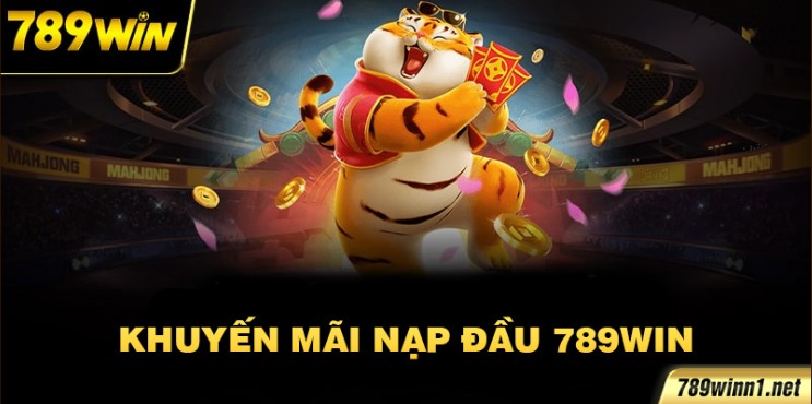 Khuyến Mãi Nạp Đầu Dành Cho Tân Thủ 789WIN