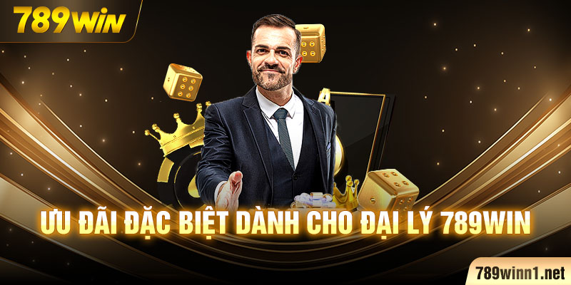 Ưu đãi đặc biệt dành cho đại lý 789Win