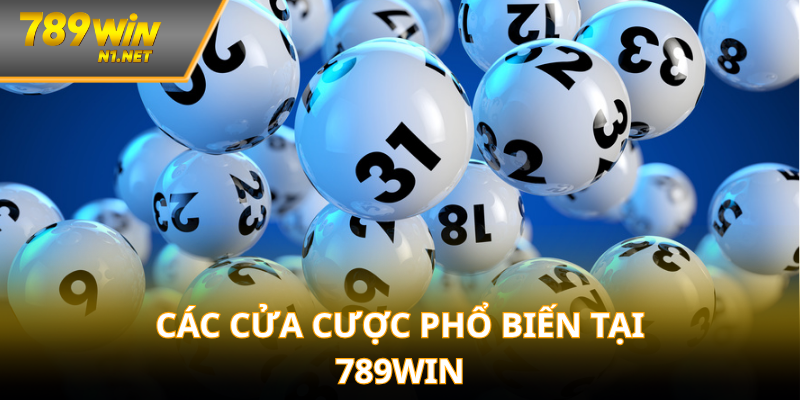 Các cửa cược phố biến