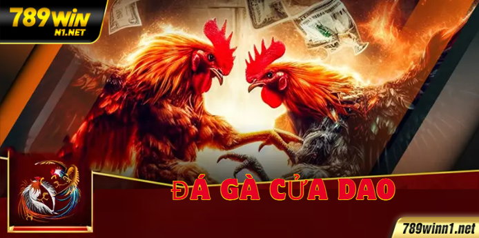 Đá Gà Cựa Dao – Môn Cá Cược Mạo Hiểm Và Cách Chơi Hiệu Quả 789win