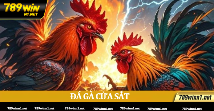 Đá gà cựa sắt 789WIN:Cách chơi và mẹo hay từ cao thủ