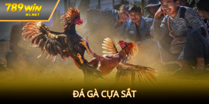Đá gà cựa sắt 789WIN:Cách chơi và mẹo hay từ cao thủ