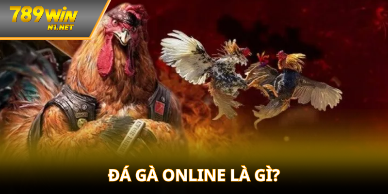 Khái niệm tổng quan về đá gà online