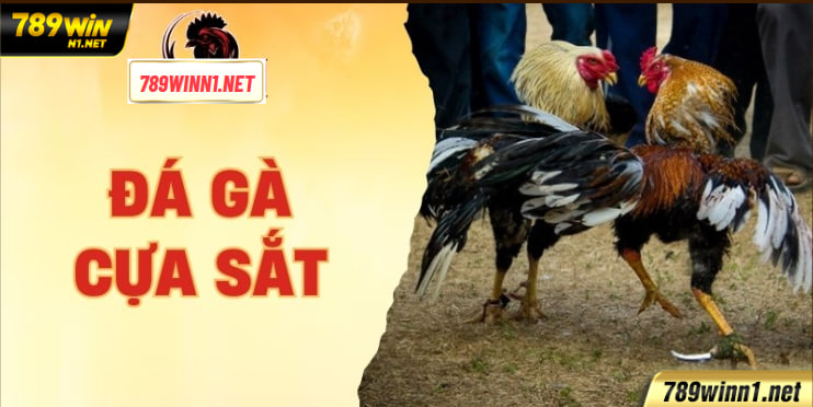 Đá gà cựa sắt 789WIN:Cách chơi và mẹo hay từ cao thủ