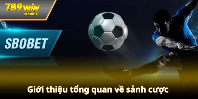 Giới thiệu tổng quan về sảnh cược SBOBET 789WIN