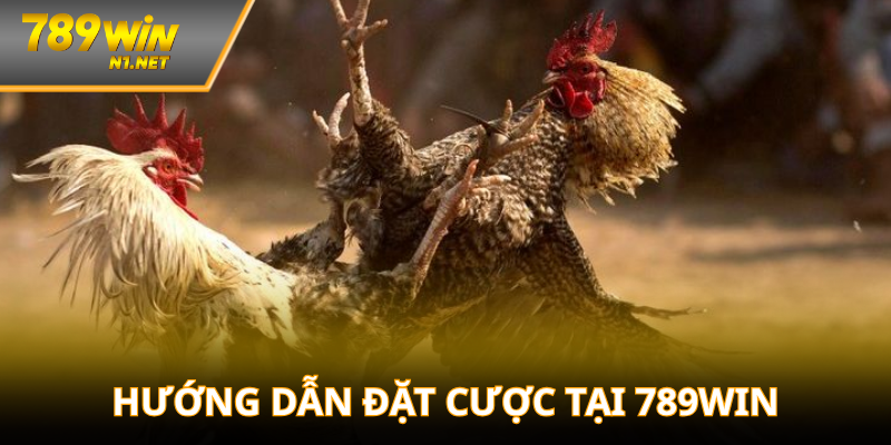 hướng dẫn đặt cược tại 789win