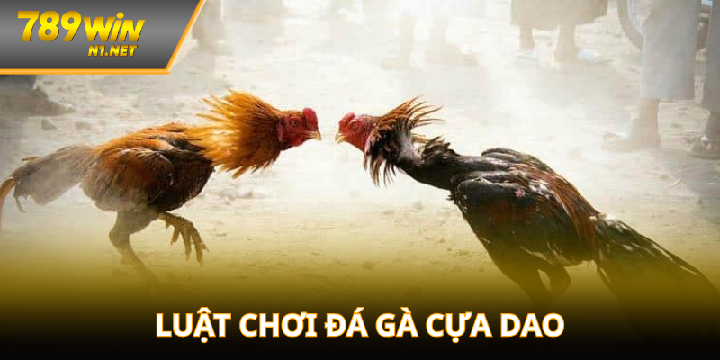 Hướng dẫn về luật chơi và các hình thức cược