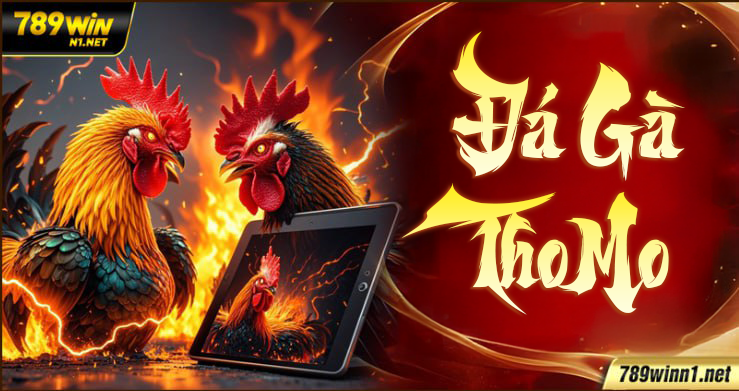 Đá Gà Thomo – Trường Gà Biên Giới Đầy Kịch Tính tại 789win