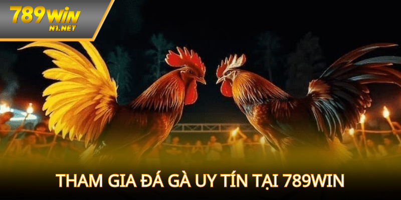 Tham gia đá gà an toàn, uy tín