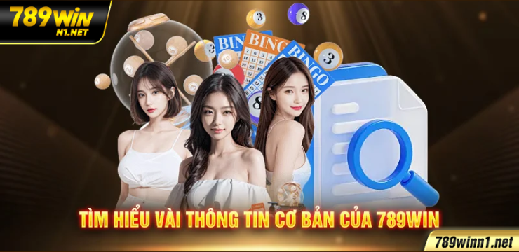 Tổng quan ngắn gọn về 789WIN cho người mới